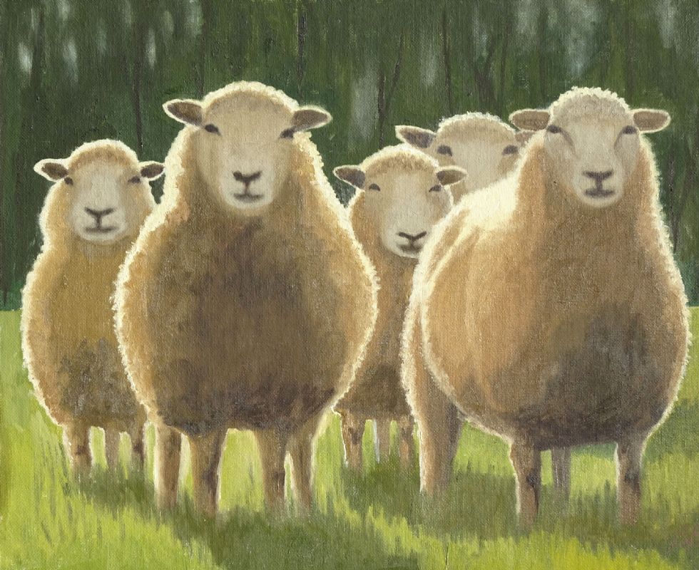 Five Sheep - Barbara Bernard Art and Design
